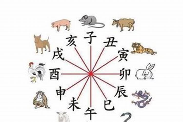 生肖属相不合,生辰八字合可以结婚吗？