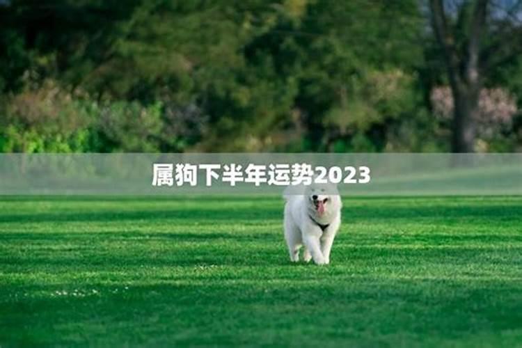 2024年属狗下半年有灾难吗