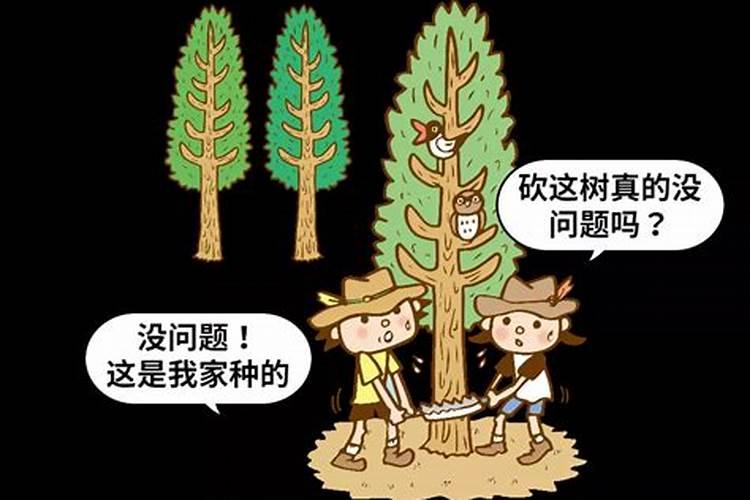 农历十月初一能砍坟头的树木吗？