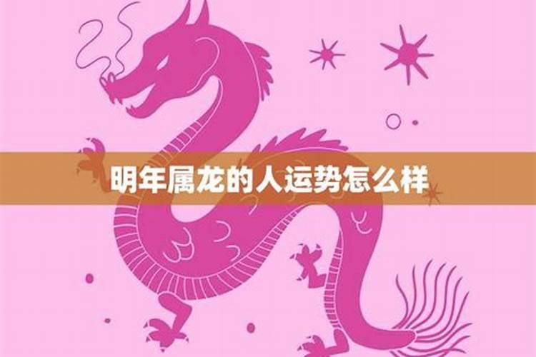 属龙女2025年运势和财运怎么样