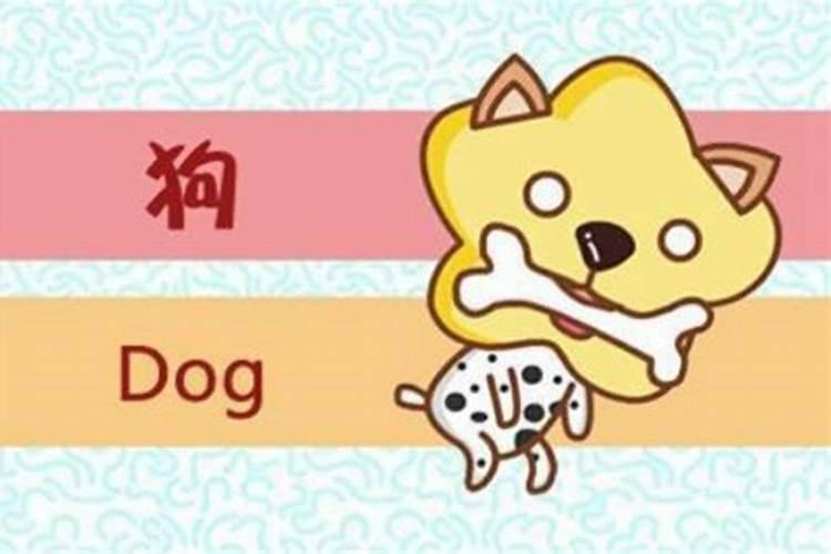 1994年属狗的最佳配偶属相