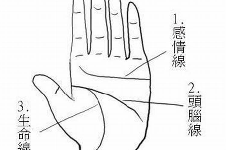 梦见左手心被划了一道的预兆
