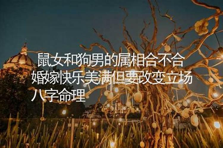 属牛妈妈适合生虎宝宝吗 农历四月出生前途无限？