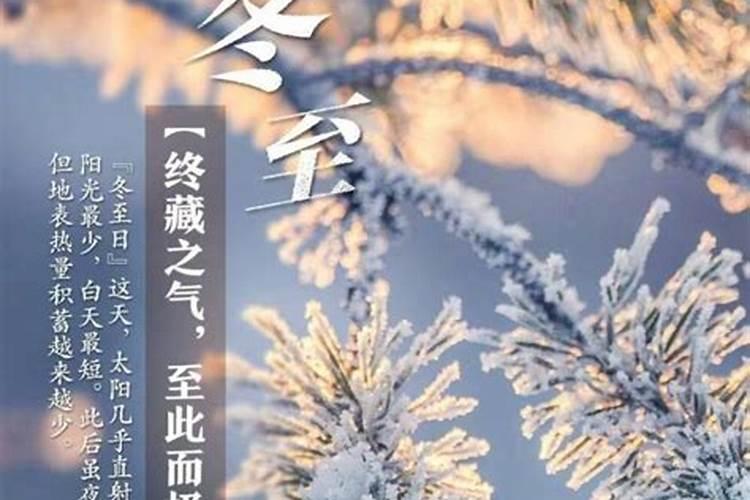 1982年狗2025年感情运势