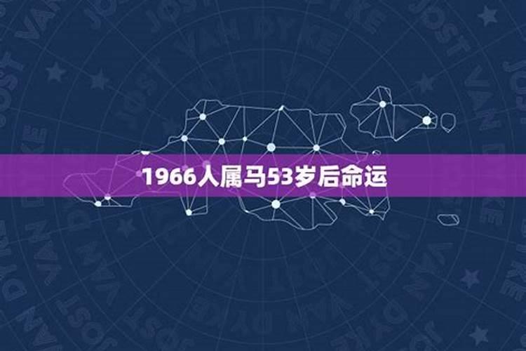 1966人属马53岁后命运六六年属马终身命运