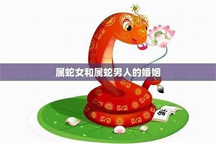 蛇女与属蛇男婚配蛇女和蛇男属相合不合婚姻