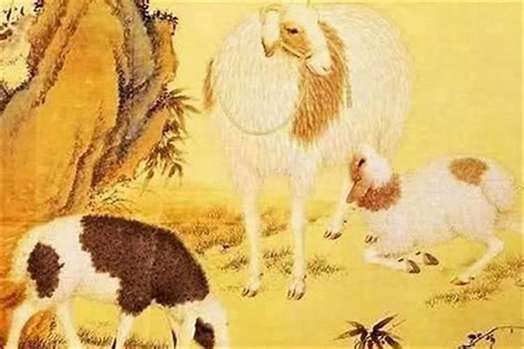 82年属狗何时走大运哪年财运好？