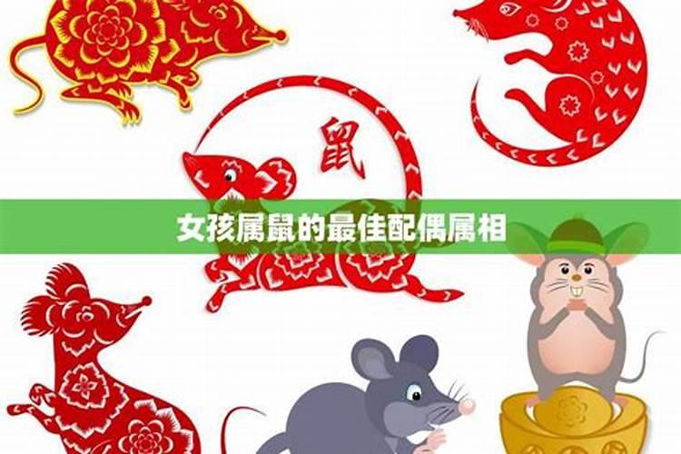 属相老鼠女跟哪些属相结婚合,女鼠和什么属相合？