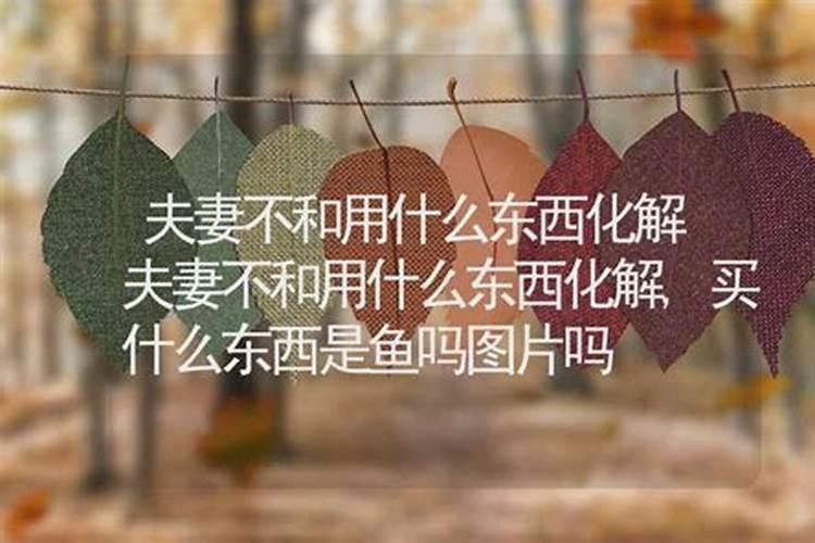 夫妻不和用什么东西化解？