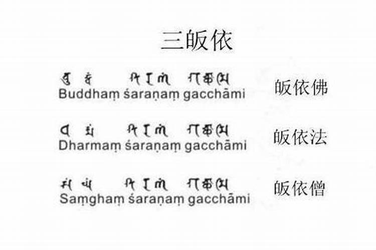 谁有放生用的三皈文？