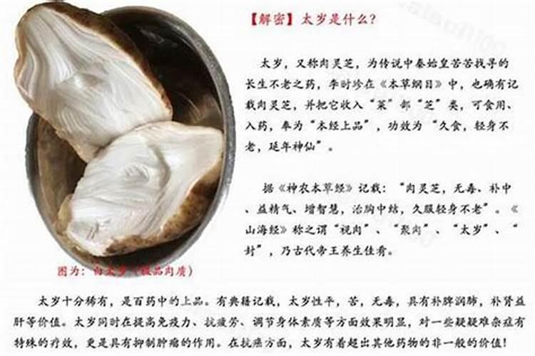石太岁是什么东西？