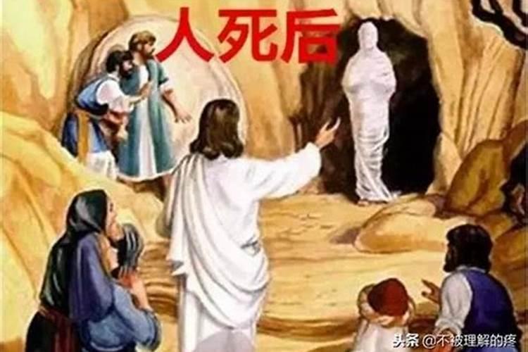 父亲死后为什么,每晚来看他的孙子？
