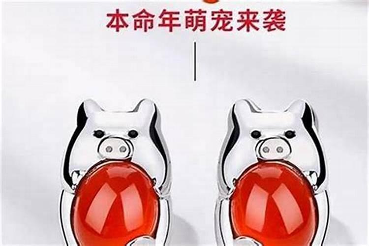猪的本命年好不好？