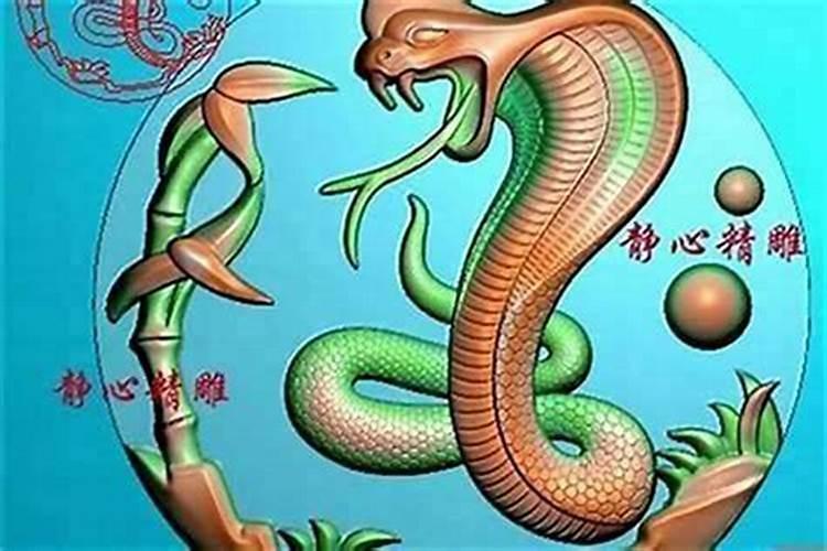 属蛇和属狗的婚姻怎么样？