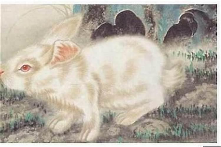 属兔的人适合住什么朝向的房子？