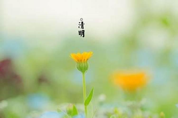 清明节是农历算还是阳历算