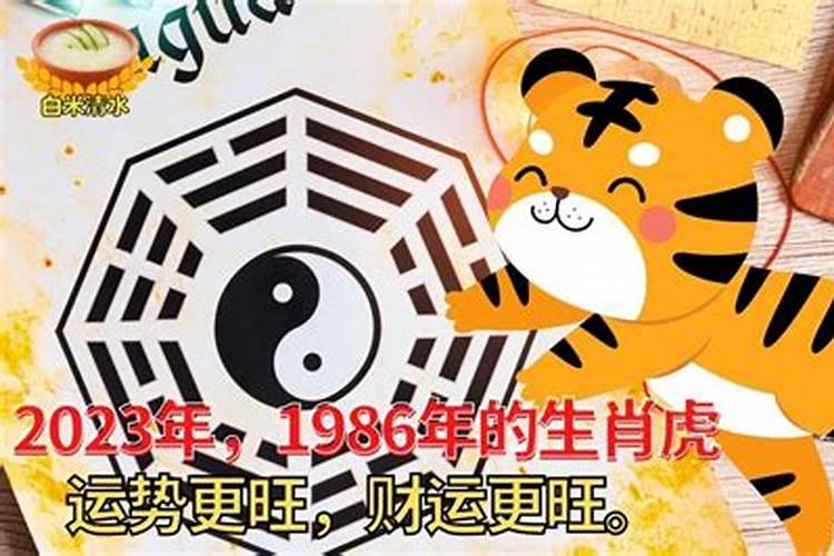 情人节出生的女生适合的英文名？