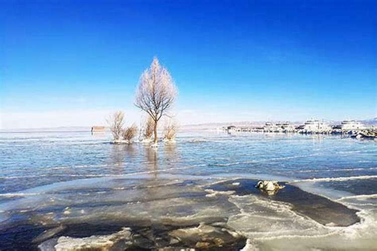 青海冬至吃什么
