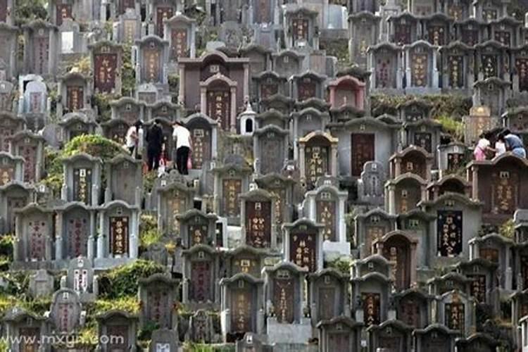 梦见在坟地里睡觉是什么意思