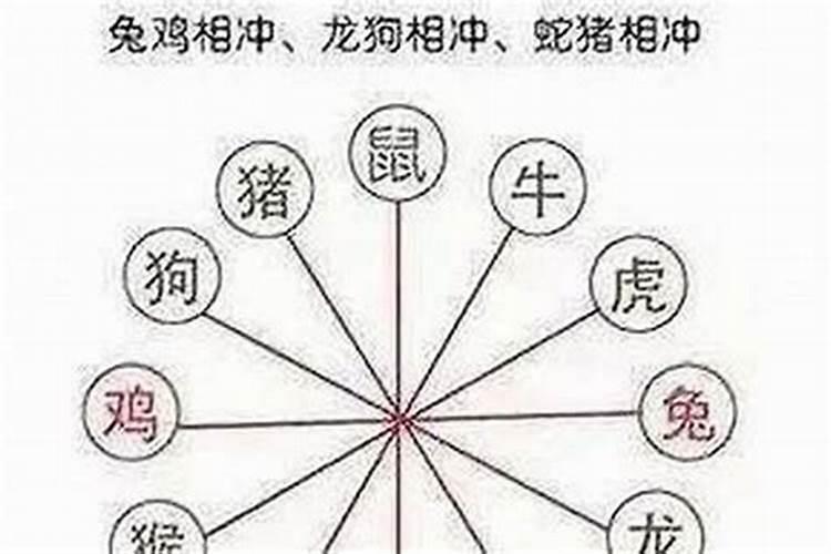 84年的鼠在2025年属鼠人全年运势