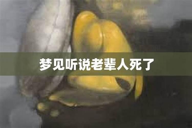 梦见老年人去世的预兆