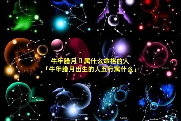 1977年农历十二月十六日出生人命运