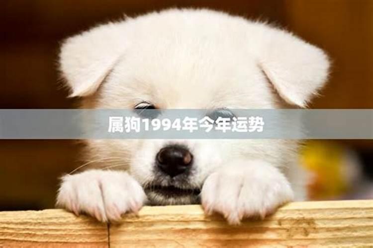 1998年属虎本命年要注意什么 可以在本命年谈恋爱吗？