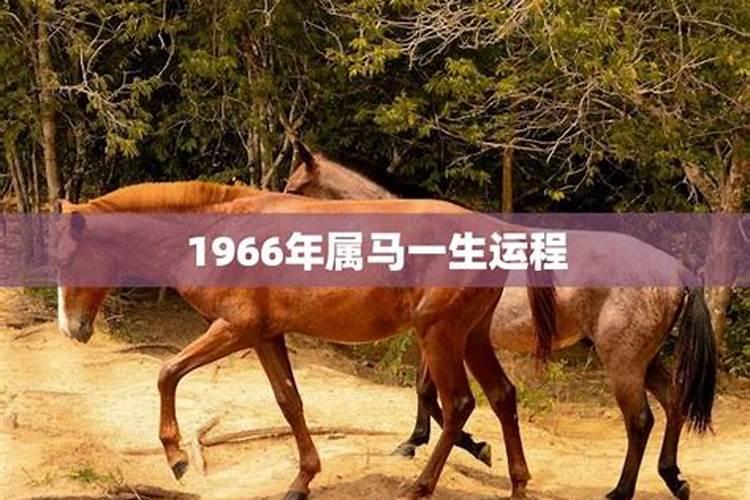 清明祭奠英烈的活动总结