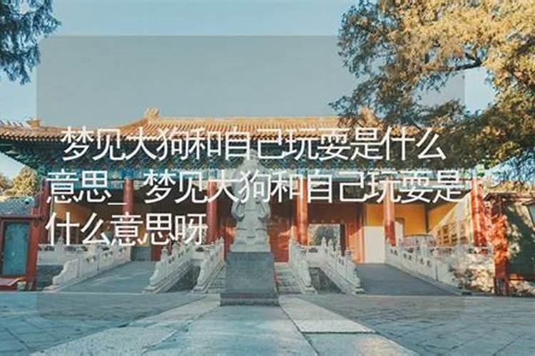 梦见和老婆拜祖的预兆
