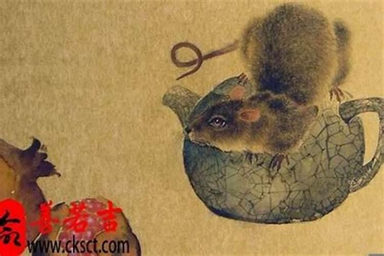 77年属蛇男2025年的运势和婚姻状况
