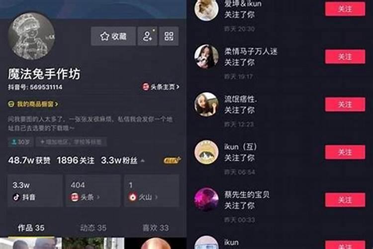 属狗2025年运势详解