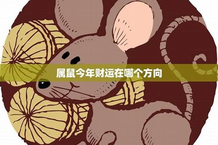 属鼠人2025年运势详解