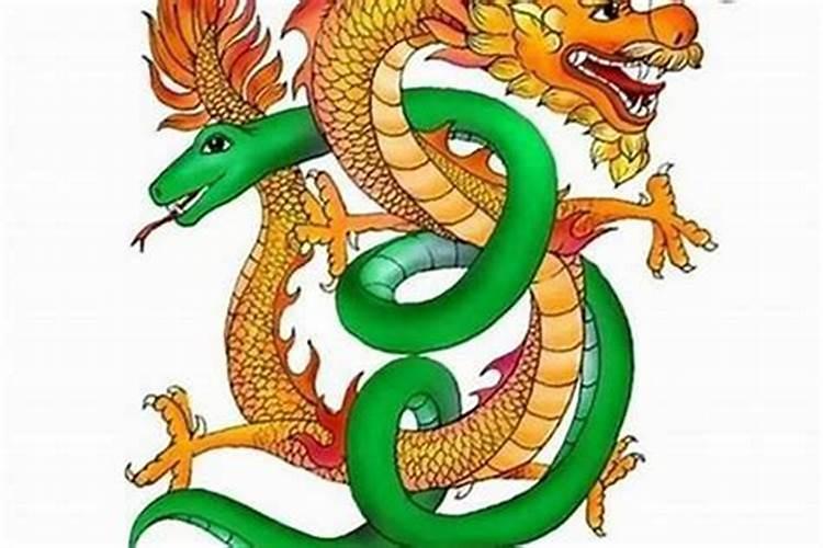 两个属蛇的人结婚好吗,属蛇男人更佳妻子