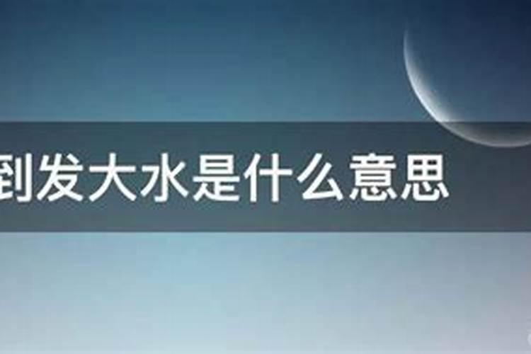 2025年属狗人的全年每月运势
