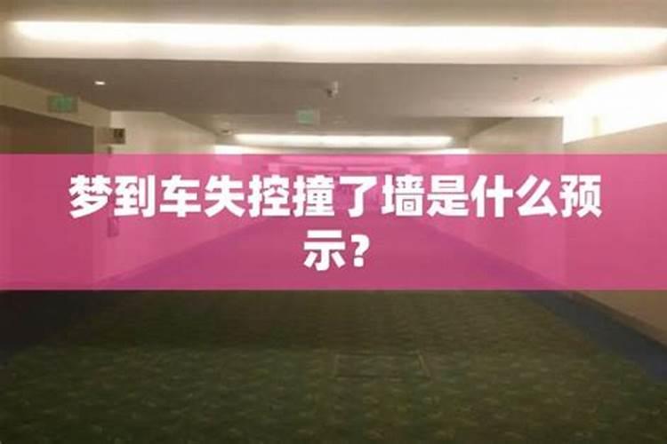6月生肖狗好不好 属狗农历6月出生运势如何