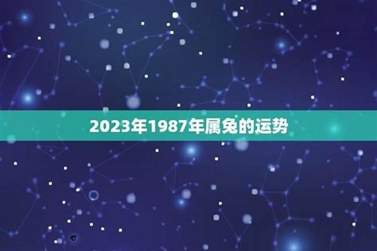 赤坎那里可以买清明节用品？