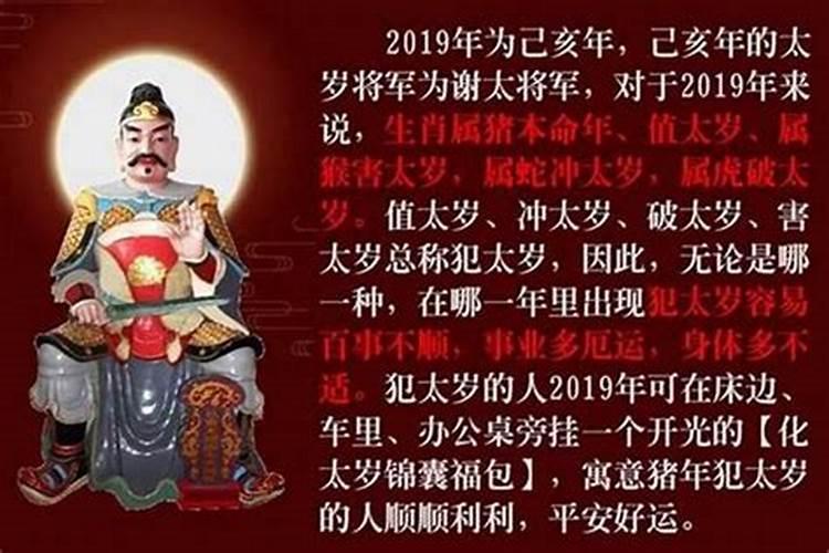 1983年猪2025年的全年运势及月运