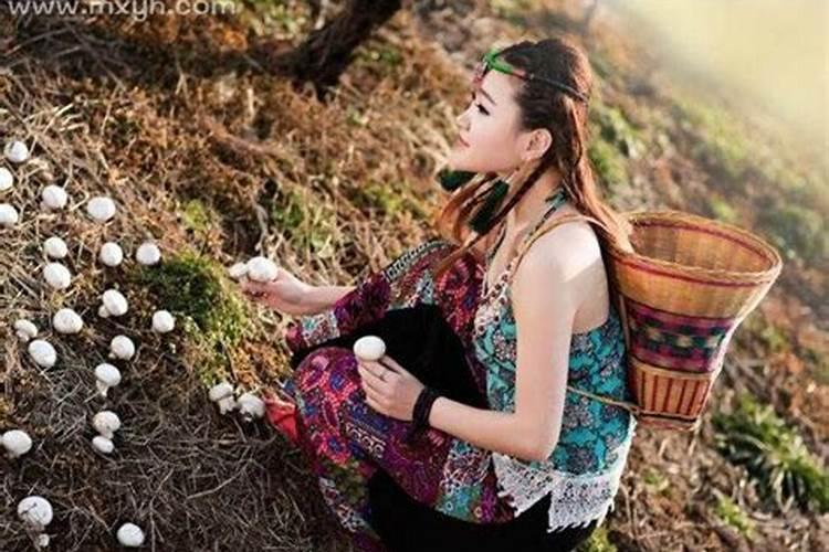 端午节2025年高速免费吗