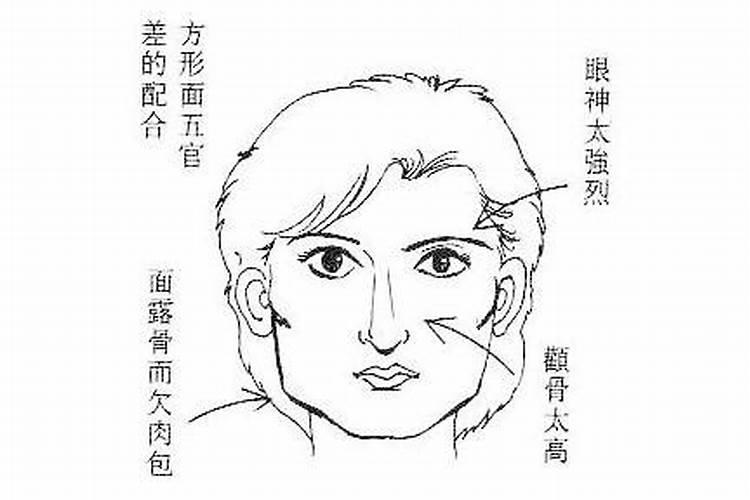 猪和羊的属相适合做夫妻吗