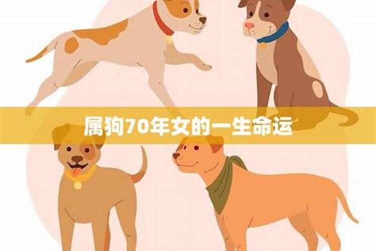 70年的属狗女人命好吗