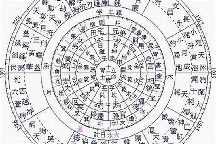 清明扫墓鲜花一盆还是二盆