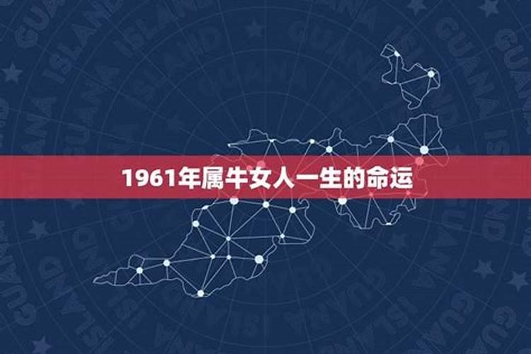 59属什么的生肖属相