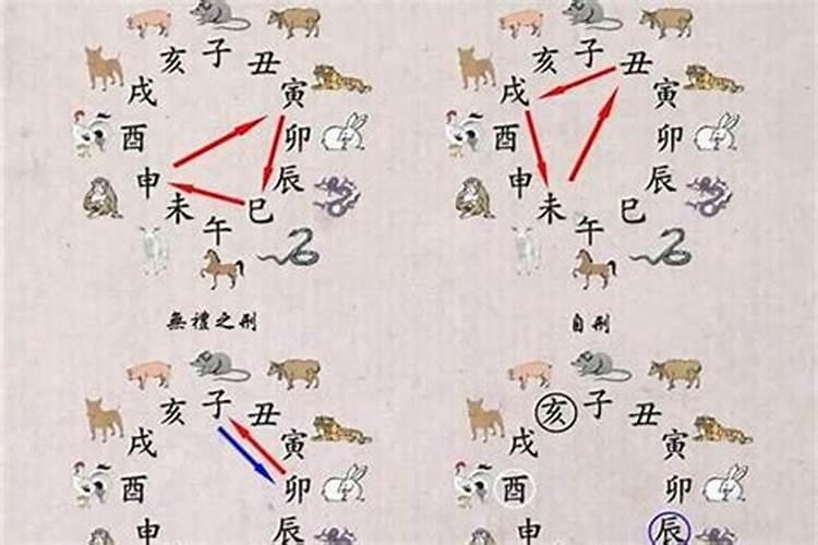 属虎和属猪的适合做夫妻吗