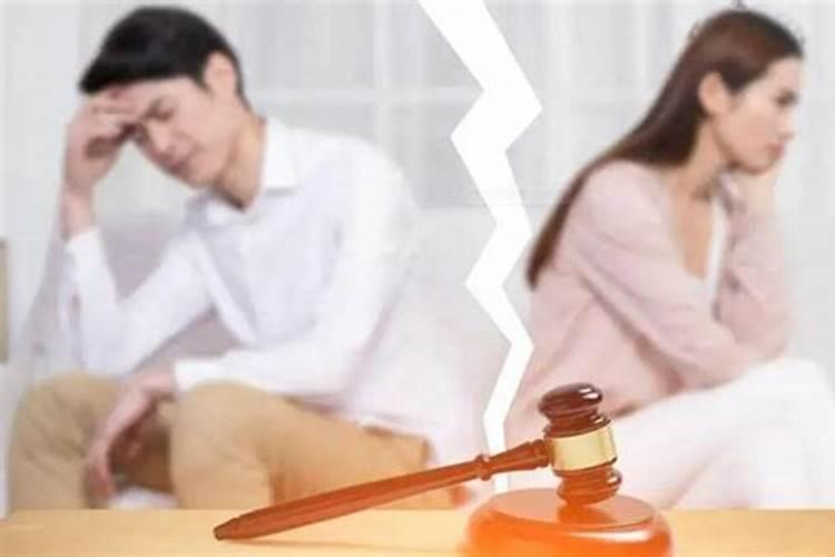 已婚妇女梦见母猫生小猫