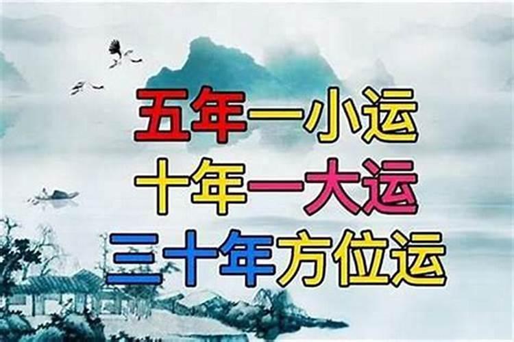 清明节为什么献菊花
