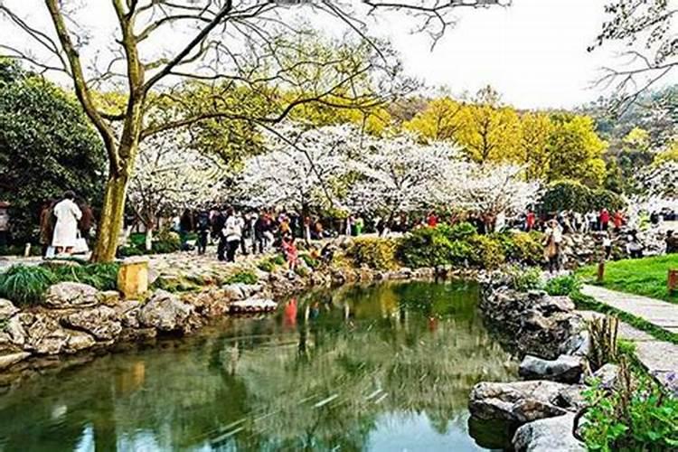 生宝宝真可怕 运气好生个健康宝宝 运气不好就生个残缺的… 