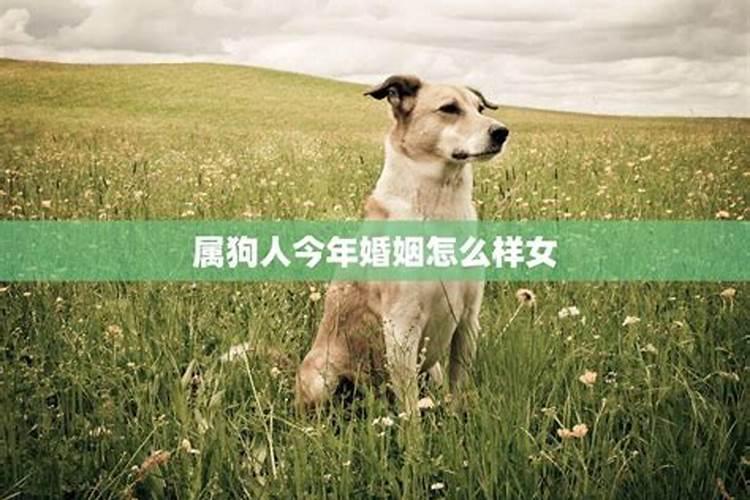 1970女狗到2025每月运气