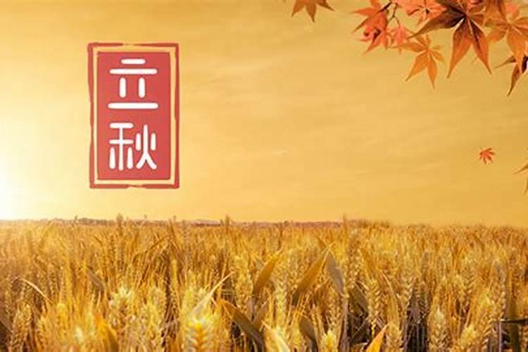 2025属猪化太岁的正确化解方法