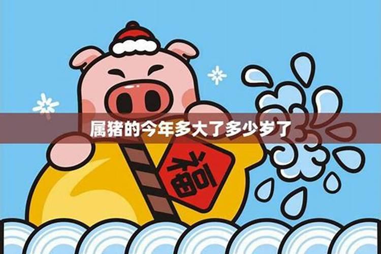 1983年猪2024年的全年运势及月运