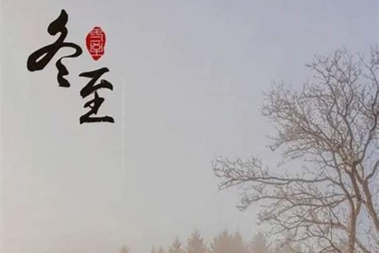 为何属兔的不怕本命年 2023年犯太岁的生肖分析